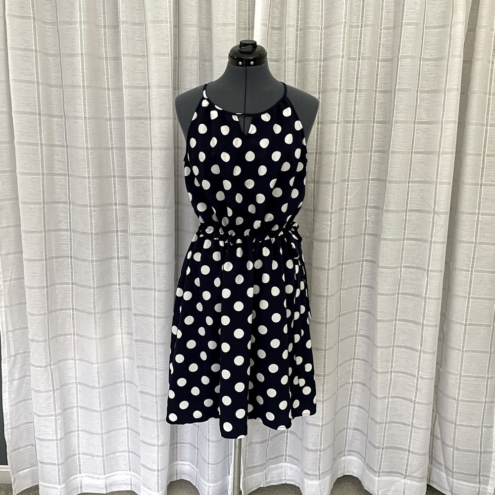 Market & Spruce Navy and White dress